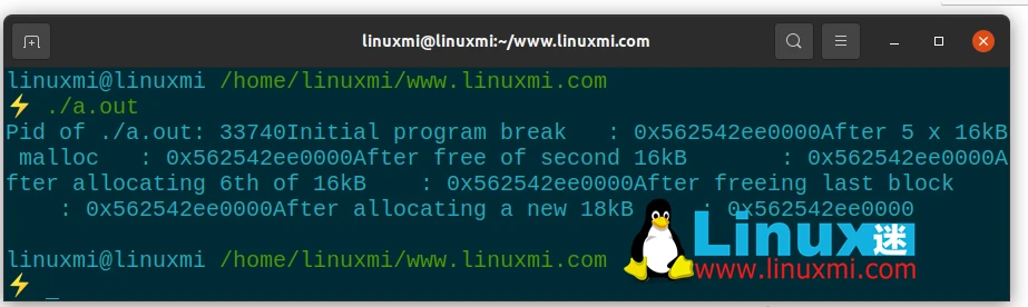 Linux 上内存分配的工作原理