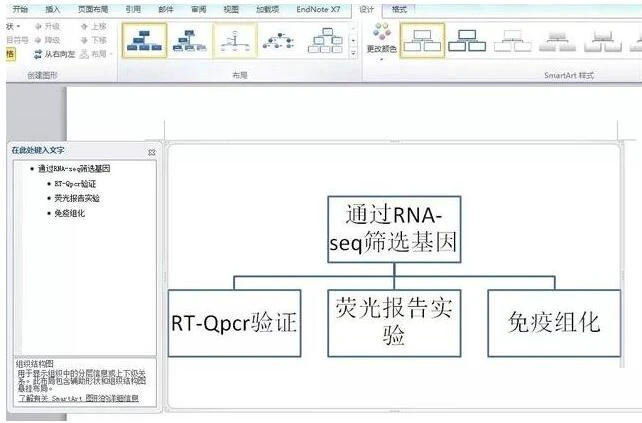 word制作技术路线图的操作步骤