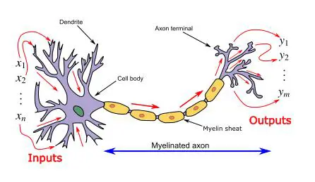 阻碍人工智能进步的八个问题
