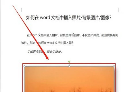word嵌入式图片显示不全怎么回事 word文档插入图片显示不全