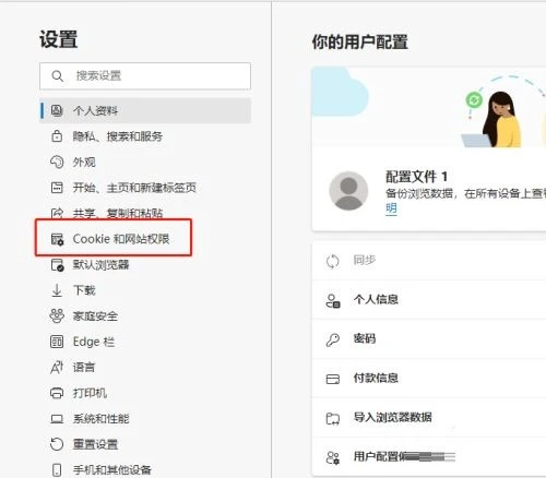 Edge浏览器怎么查看Cookie数据 Edge浏览器查看Cookie数据教程
