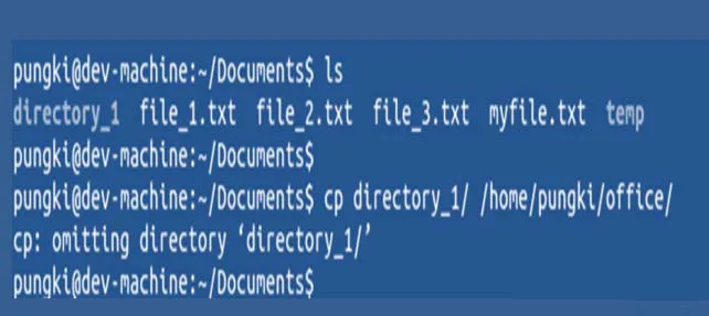 Linux怎么创建副本? Linux创建副本的教程