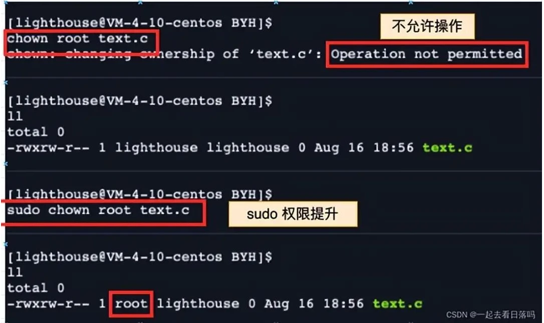 shell 运行原理和 Linux 权限详解