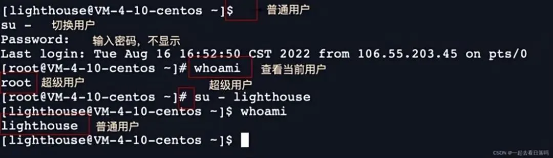 shell 运行原理和 Linux 权限详解