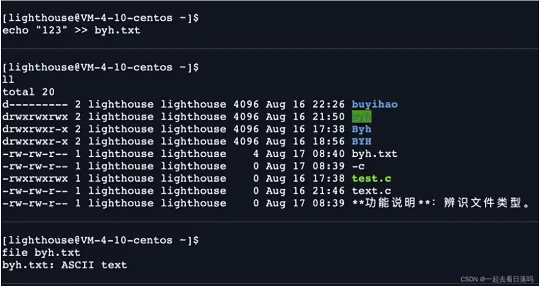 shell 运行原理和 Linux 权限详解