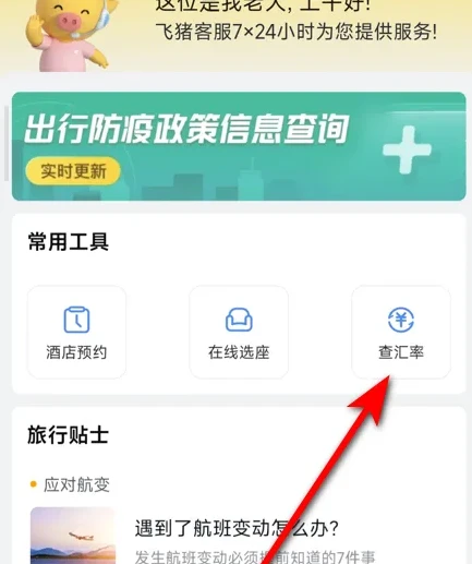 飞猪旅行如何查看汇率 飞猪旅行APP查看汇率教程