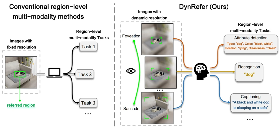 超越CVPR 2024方法，DynRefer在区域级多模态识别任务上，多项SOTA