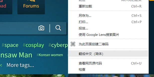 谷歌浏览器翻译功能启动失败怎么回事 谷歌翻译服务无法使用解决方法