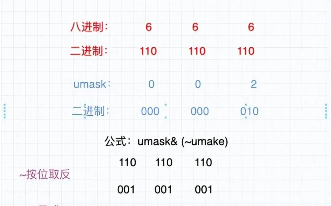 shell 运行原理和 Linux 权限详解