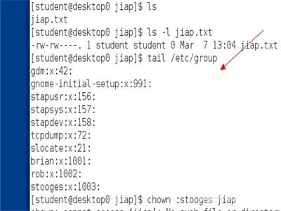Linux系统中chown和chmod命令用法