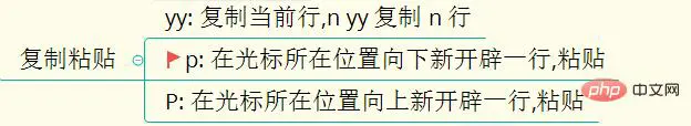复制粘贴.jpg