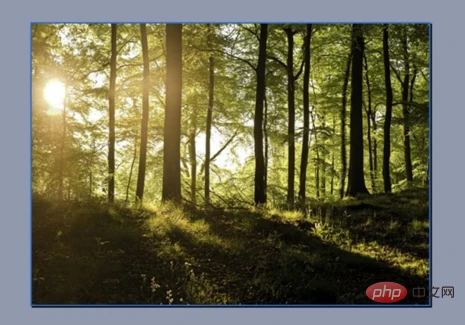 1ead4501eddfe87926d3455ead8df59.png