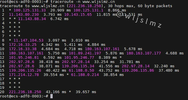 老板让我在Linux中使用traceroute排查服务器网络问题,幸好我收藏了这篇文章!
