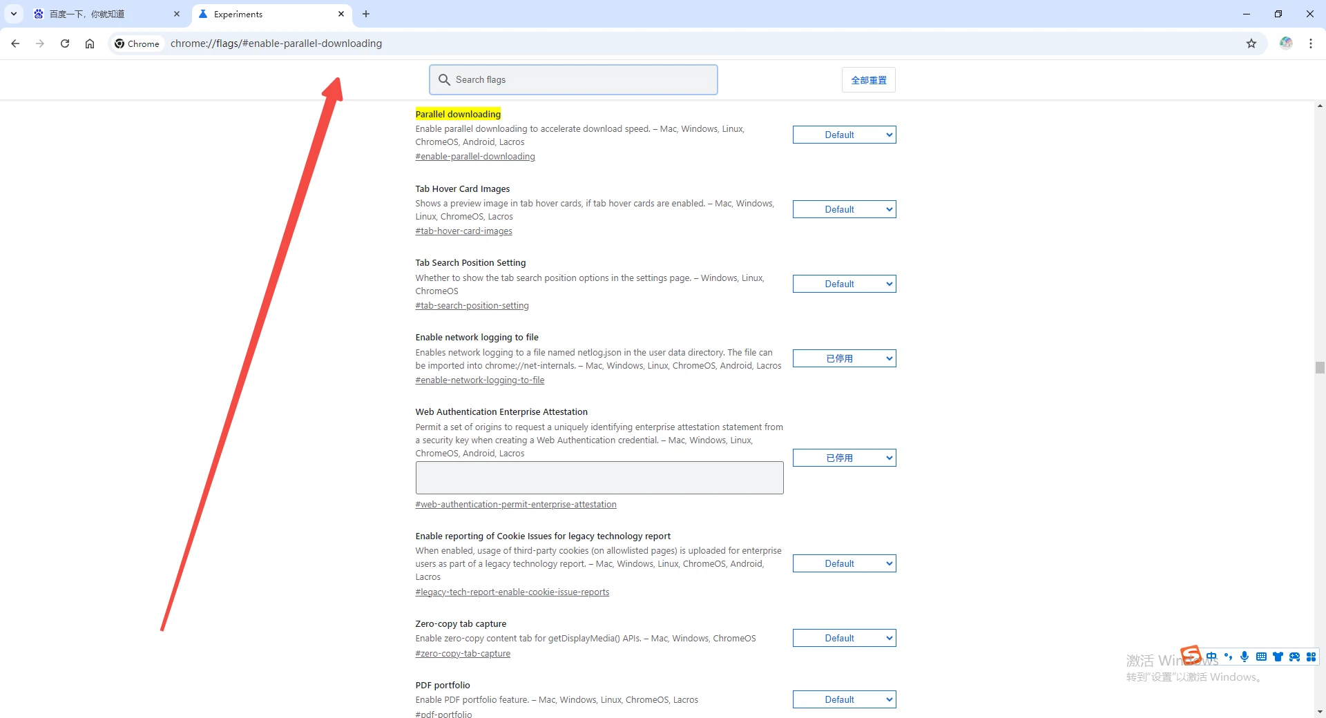 谷歌浏览器如何启用“线程化解析”功能