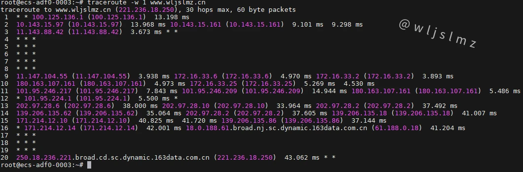 老板让我在Linux中使用traceroute排查服务器网络问题,幸好我收藏了这篇文章!