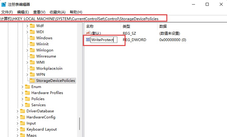 Win11磁盘被写保护怎么办 Win11磁盘被写保护解除方法