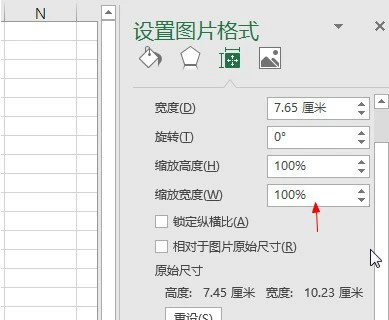 Microsoft Excel 2020怎么设置图片格式 Microsoft Excel 2020设置图片格式的方法