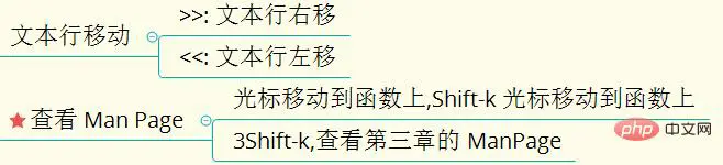 文本行移动.jpg