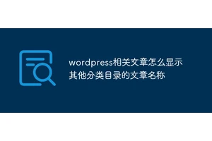 wordpress相关文章怎么显示其他分类目录的文章名称