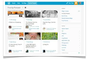 在 WordPress.com 和 WordPress.org 之间进行选择
