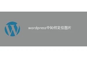wordpress中如何定位图片