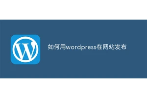 如何用wordpress在网站发布