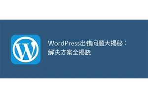 WordPress出错问题大揭秘：解决方案全揭晓