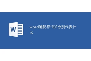 word通配符*和?分别代表什么