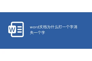 word文档为什么打一个字消失一个字