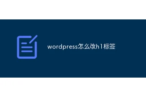 wordpress怎么改h1标签