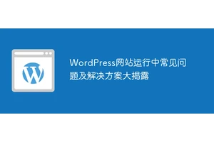 WordPress网站运行中常见问题及解决方案大揭露