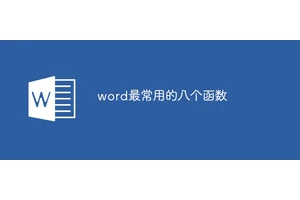 word最常用的八个函数是什么