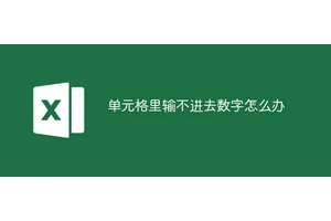单元格里输不进去数字怎么办
