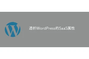 透析WordPress的SaaS属性