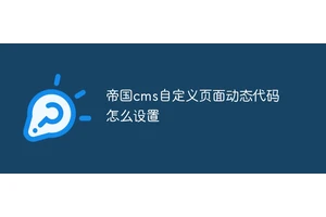 帝国cms自定义页面动态代码怎么设置