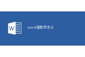 word通配符含义