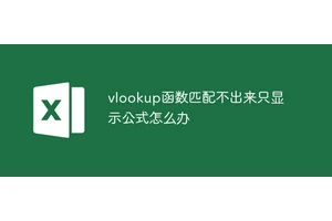 vlookup函数匹配不出来只显示公式怎么办