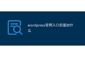 wordpress官网入口后面加什么