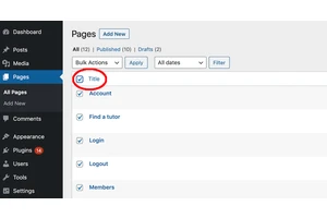 重置 WordPress 网站的指南