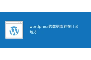 wordpress的数据库存在什么地方