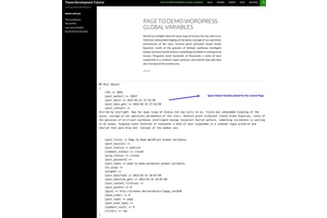 探索 WordPress 全局变量：初学者指南