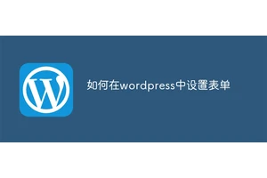 如何在wordpress中设置表单