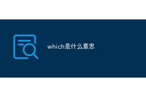 which是什么意思