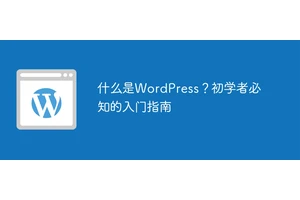 什么是WordPress？初学者必知的入门指南