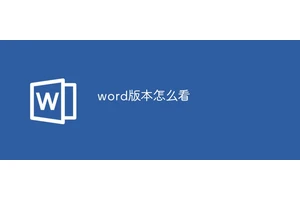 word版本怎么看