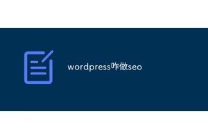 wordpress咋做seo