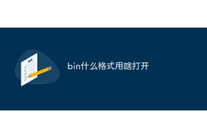 bin什么格式用啥打开