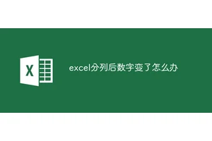 excel分列后数字变了怎么办