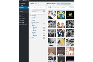 用于高效文件管理的 12 个最佳 WordPress 文件管理器