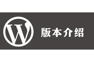 WordPress 5.2.2是最新版本吗